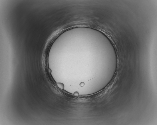X0000113270149200909101526
