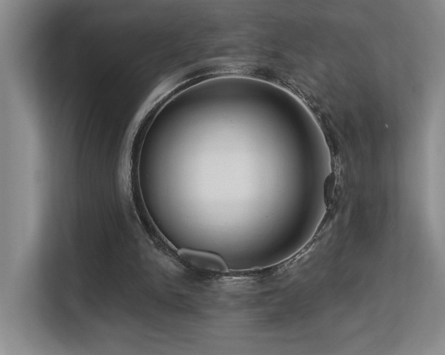 X0000113270150200909101526