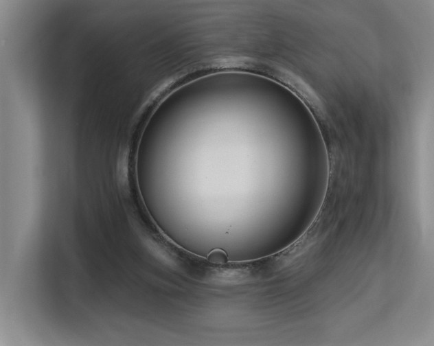 X0000113270155200909101526