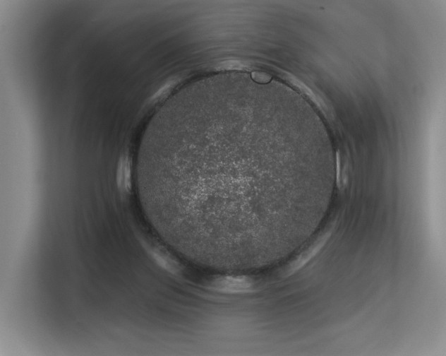 X0000113270157200909101526