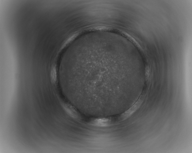 X0000113270158200909101526