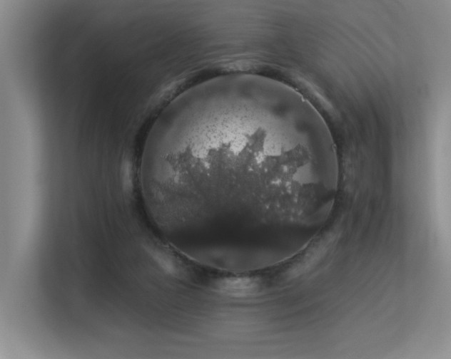 X0000113270161200909101526