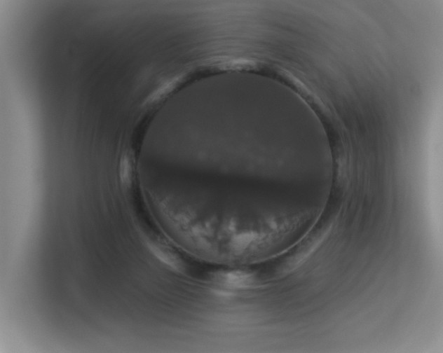 X0000113270165200909101526