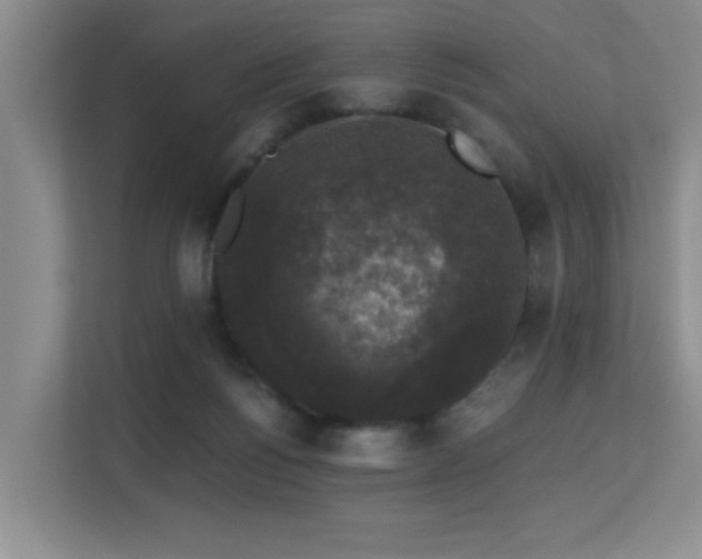 X0000113270168200909101526