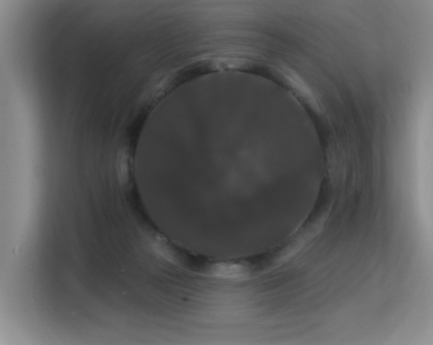 X0000113270169200909101526