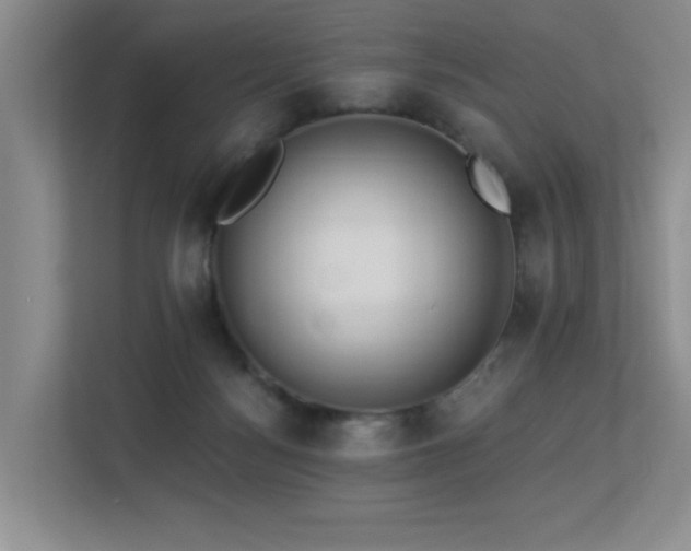 X0000113270172200909101526