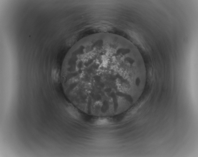 X0000113270177200909101526
