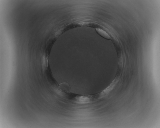 X0000113270180200909101526