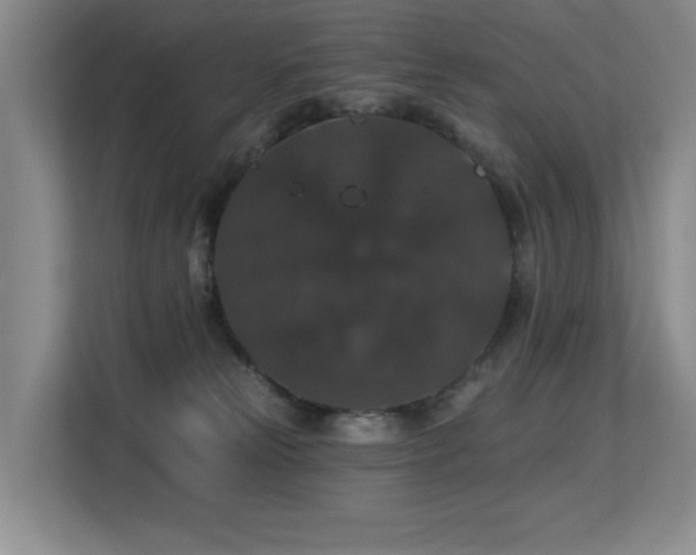 X0000113270181200909101526