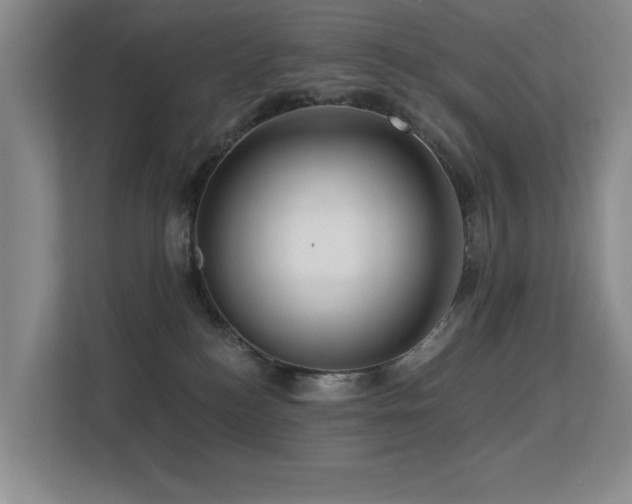 X0000113270184200909101526