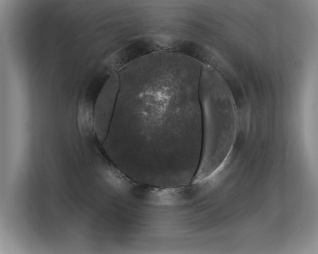 X0000113270186200909101526