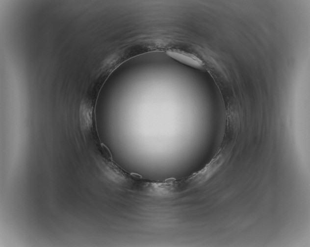 X0000113270188200909101526