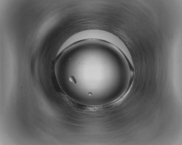 X0000113270190200909101526