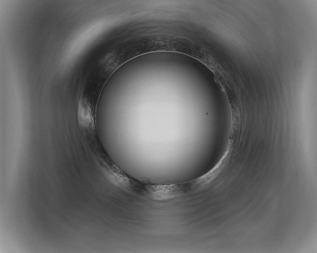 X0000113270191200909101526