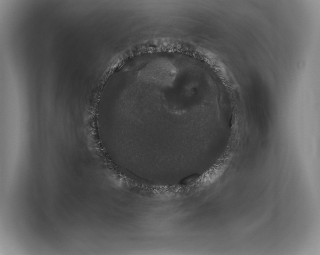 X0000113270192200909101526