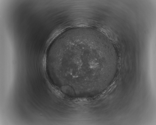 X0000113270194200909101526