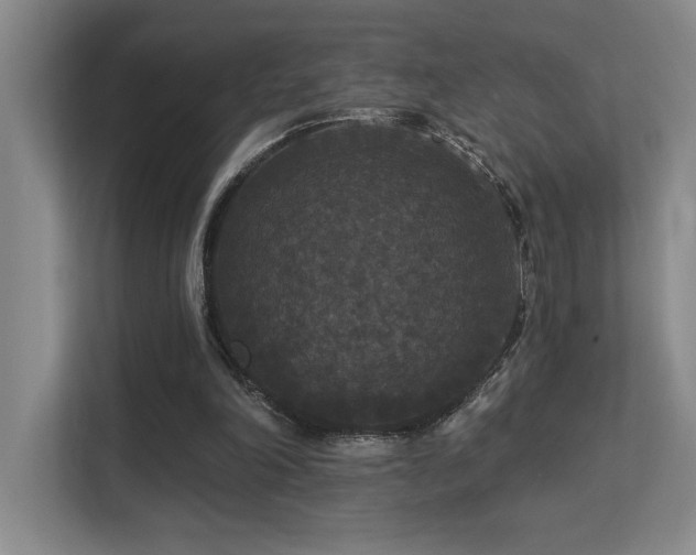 X0000113270198200909101526