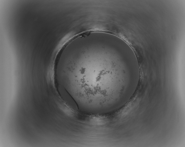 X0000113270199200909101526