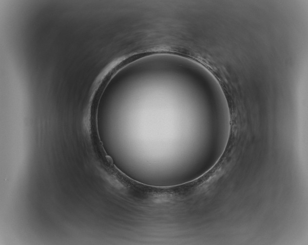 X0000113270200200909101526