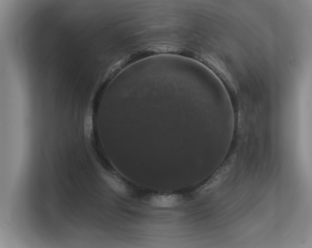 X0000113270202200909101526