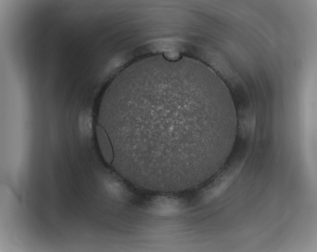 X0000113270207200909101526