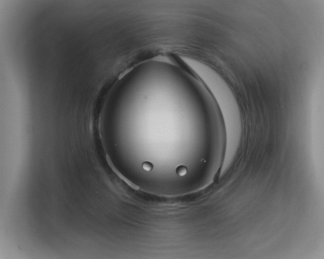 X0000113270213200909101525