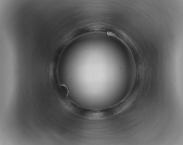 X0000113270217200909101525