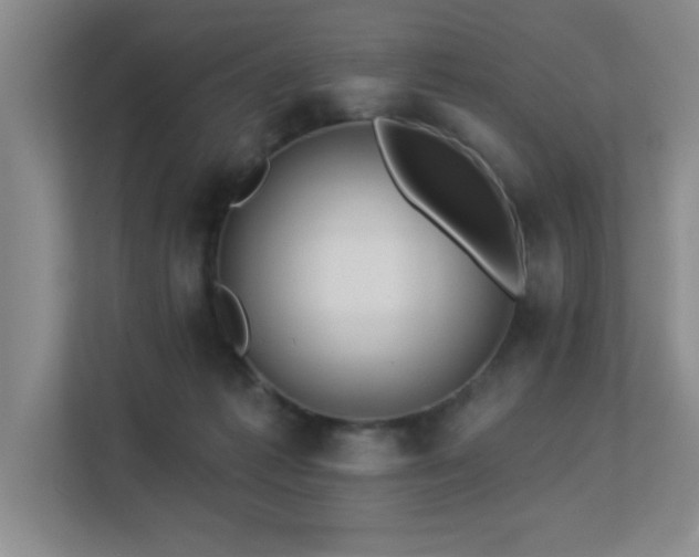 X0000113270221200909101525