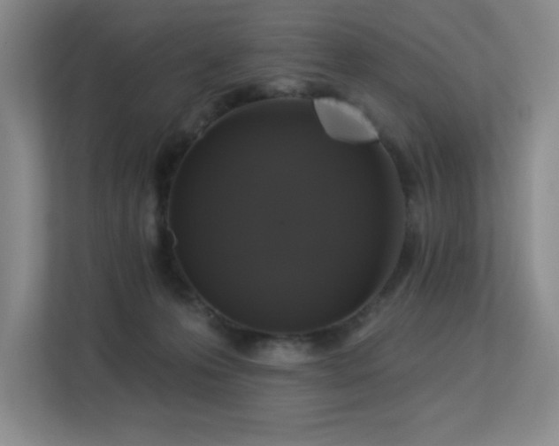 X0000113270223200909101525