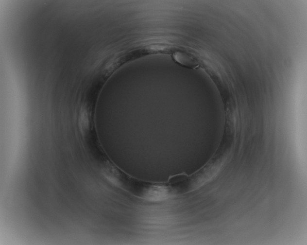 X0000113270227200909101525