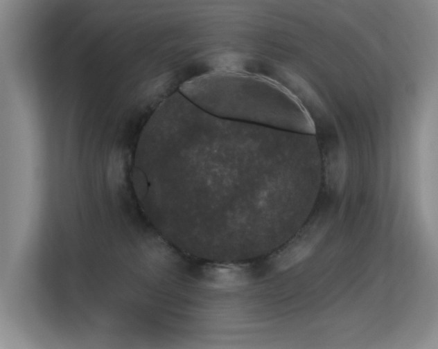 X0000113270229200909101525