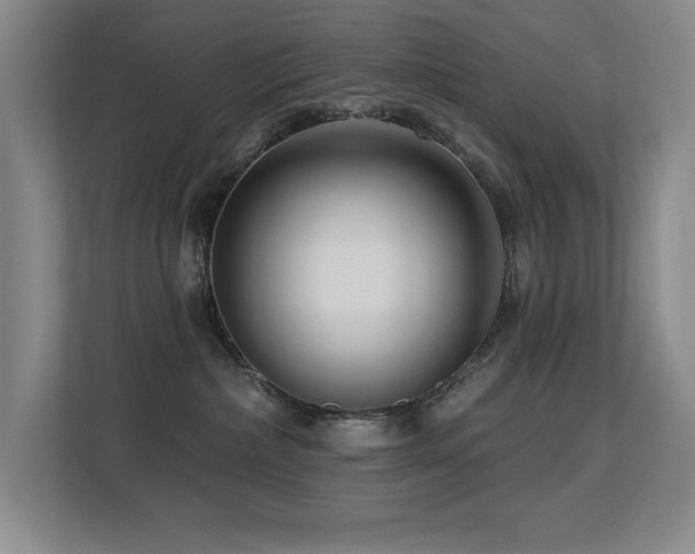 X0000113270236200909101525