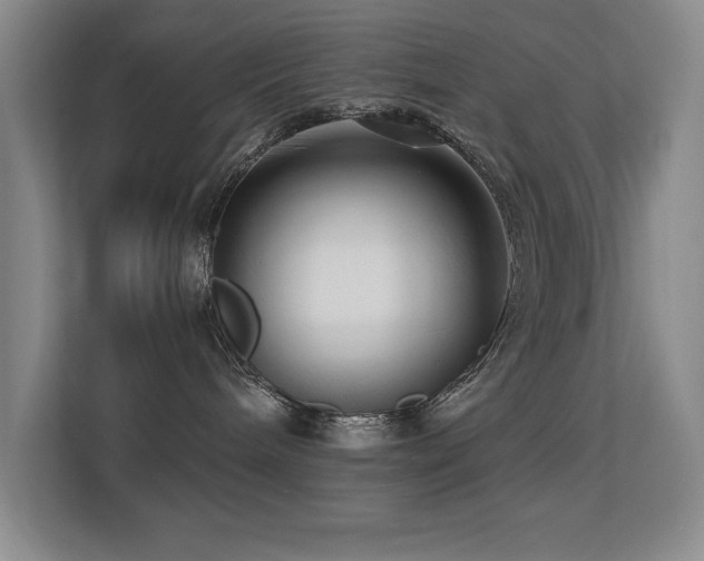 X0000113270240200909101525