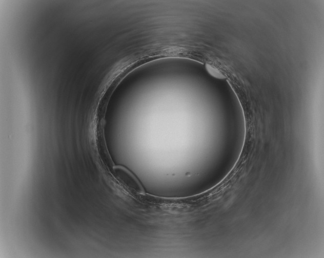 X0000113270242200909101525
