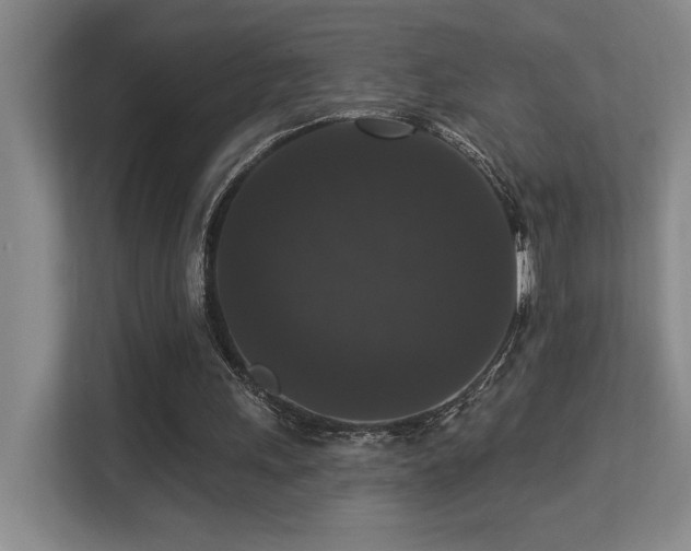 X0000113270243200909101525