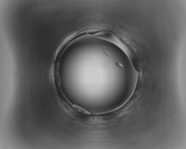 X0000113270244200909101525