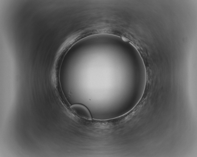 X0000113270245200909101525