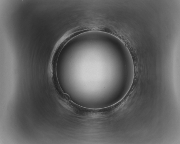 X0000113270246200909101525