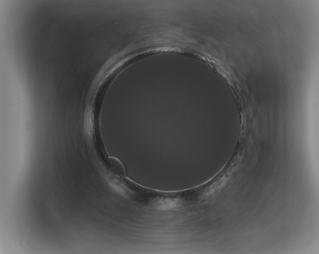 X0000113270247200909101525