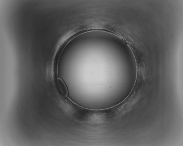 X0000113270248200909101525