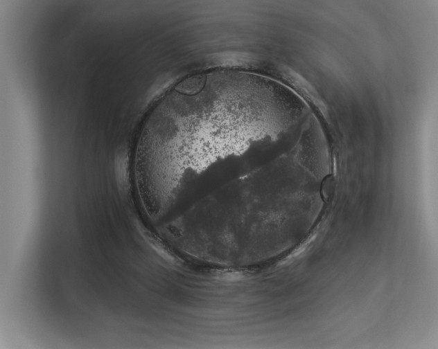 X0000113270249200909101525