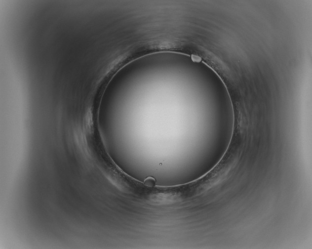 X0000113270251200909101525