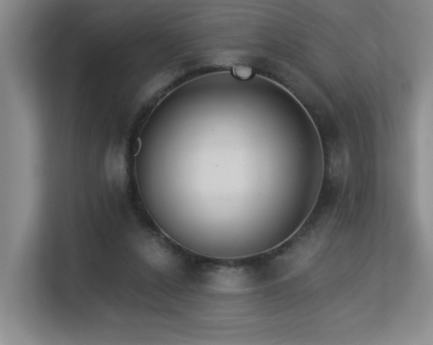 X0000113270256200909101525