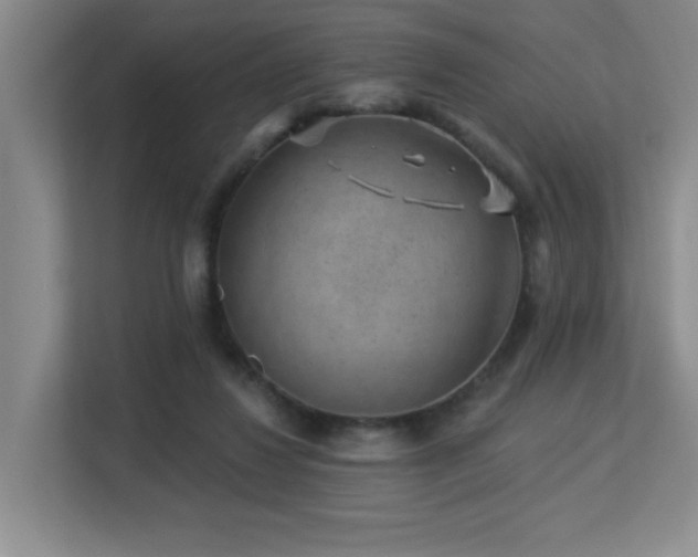 X0000113270260200909101525