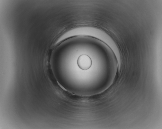 X0000113270264200909101525