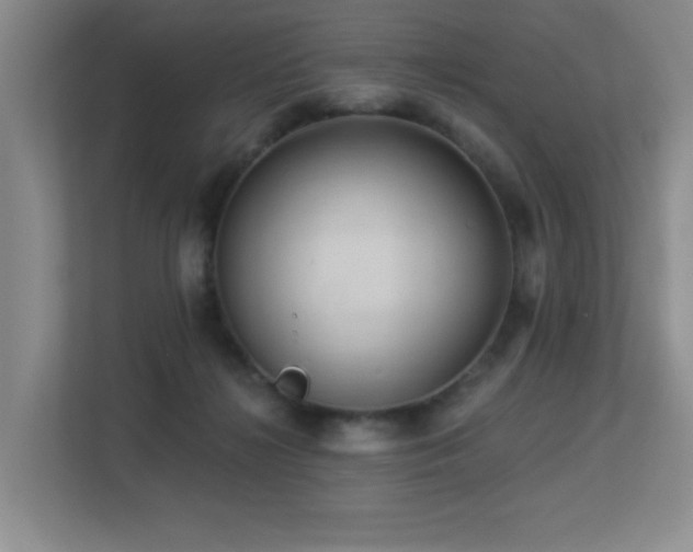 X0000113270268200909101525