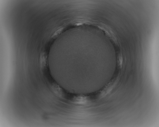 X0000113270276200909101525