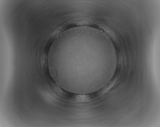X0000113270281200909101525