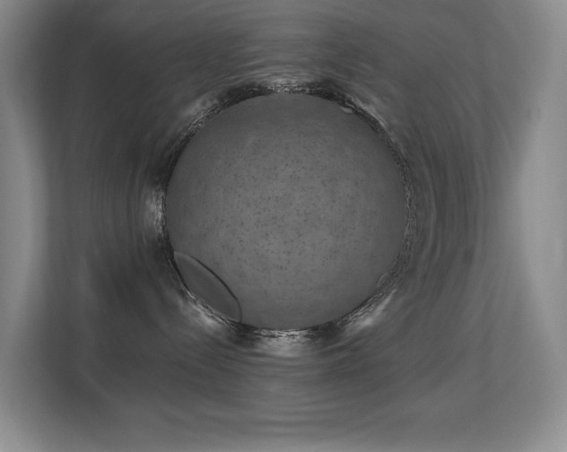 X0000113270288200909101525