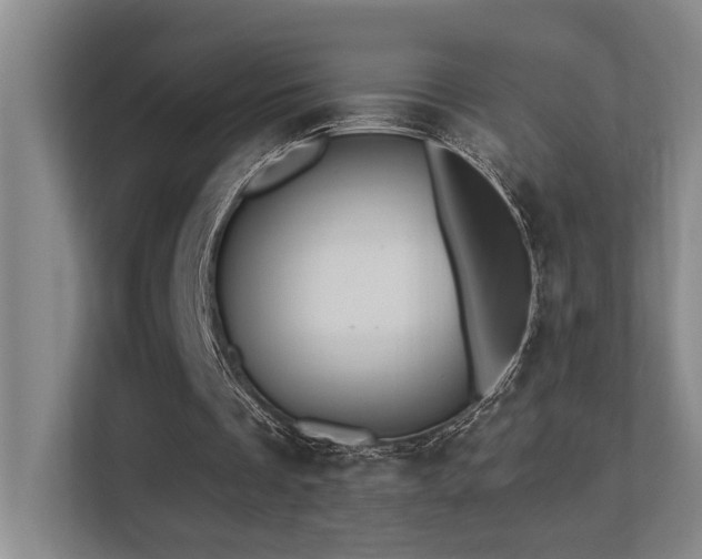 X0000113270289200909101524